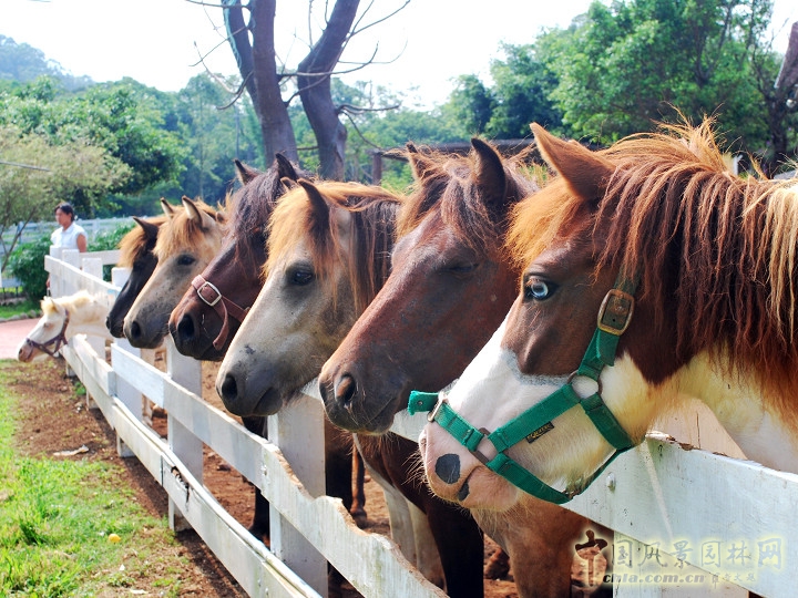 大溪花海農(nóng)場