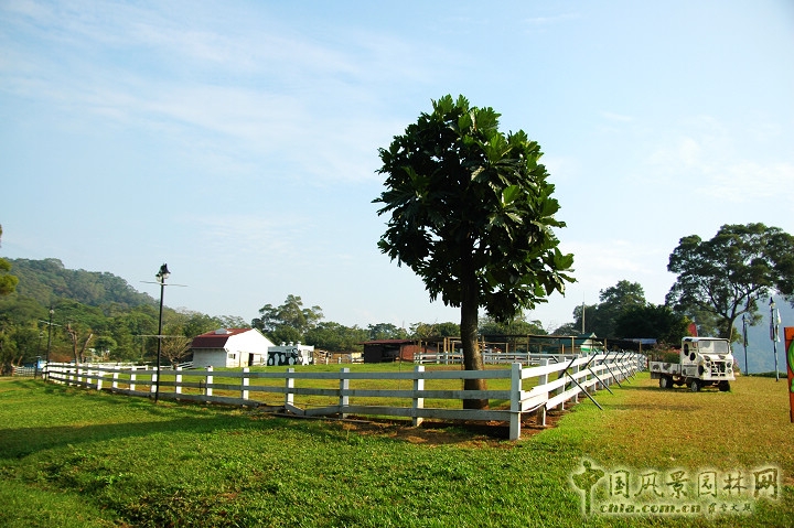 大溪花海農(nóng)場