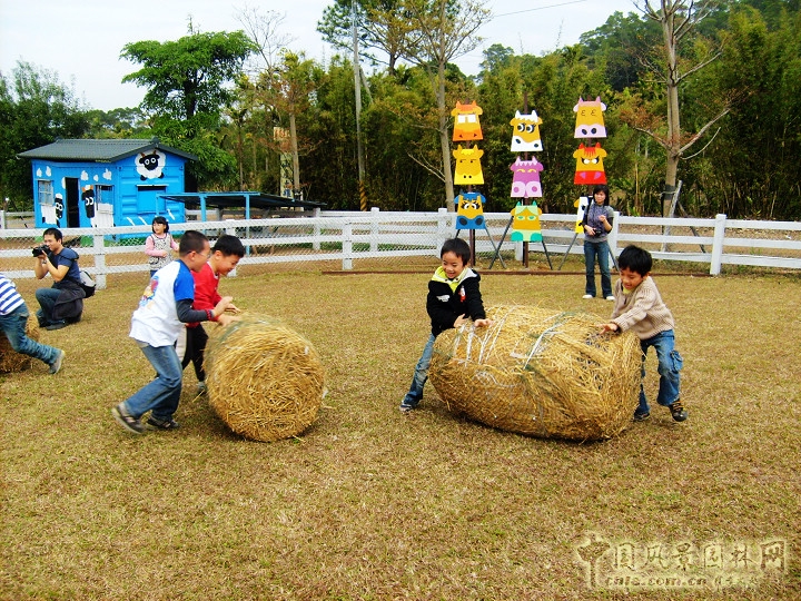 大溪花海農(nóng)場(chǎng)
