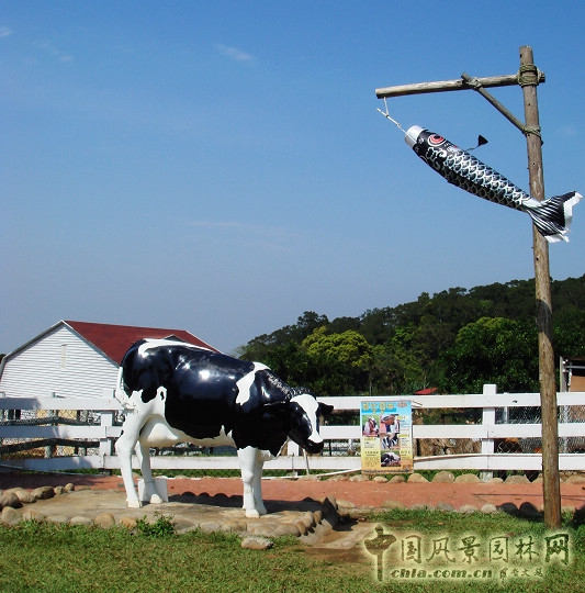 大溪花海農(nóng)場(chǎng)