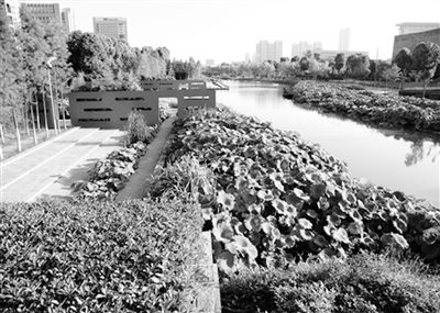 城市景觀 景觀設計 景觀設計師 水景設計