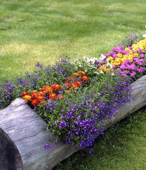 別樣花器別樣情趣 盆栽綠植煥發出新生機