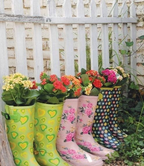 別樣花器別樣情趣 盆栽綠植煥發出新生機