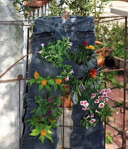 別樣花器別樣情趣 盆栽綠植煥發(fā)出新生機