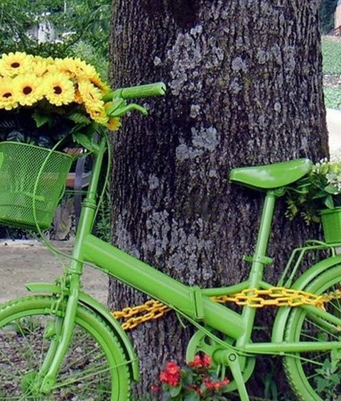 別樣花器別樣情趣 盆栽綠植煥發(fā)出新生機