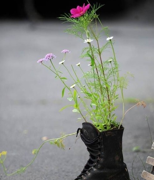 別樣花器別樣情趣 盆栽綠植煥發(fā)出新生機(jī)