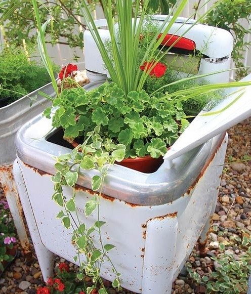 別樣花器別樣情趣 盆栽綠植煥發(fā)出新生機