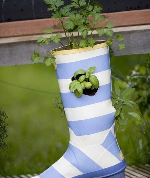 別樣花器別樣情趣 盆栽綠植煥發(fā)出新生機