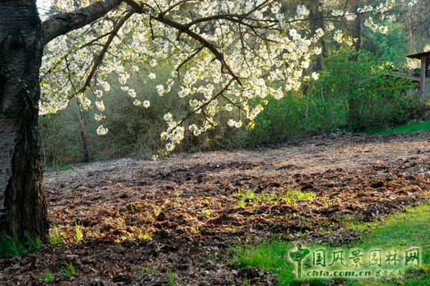德國勃蘭登堡州ZEGG生態(tài)村