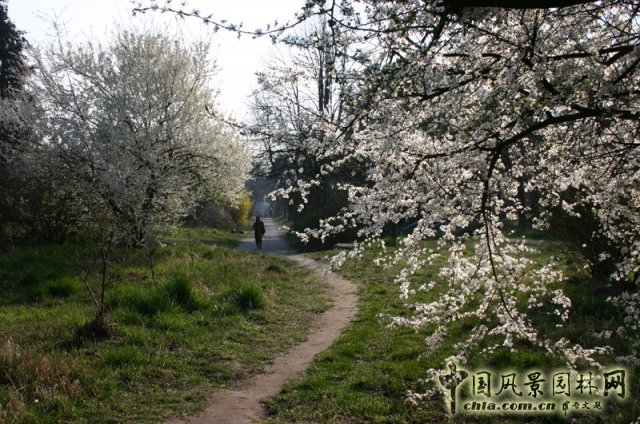 德國(guó)勃蘭登堡州ZEGG生態(tài)村
