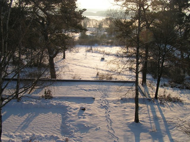 德國(guó)勃蘭登堡州ZEGG生態(tài)村