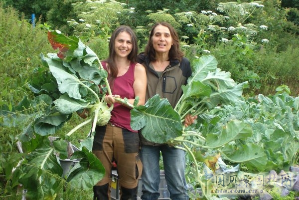 德國勃蘭登堡州ZEGG生態村