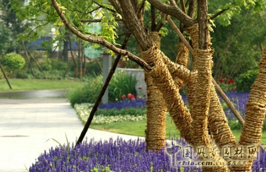 R-land北京源樹景觀作品——地產景觀類(一)