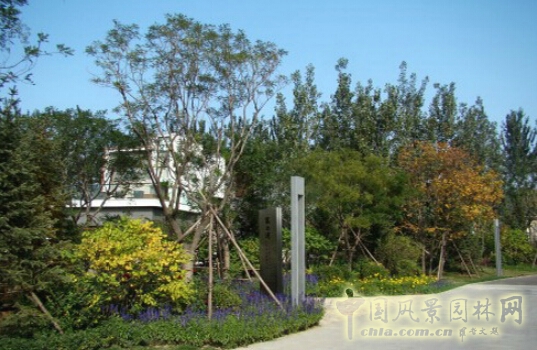 R-land北京源樹景觀作品——地產景觀類(一)