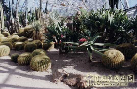 R-land北京源樹景觀作品——主題設計類