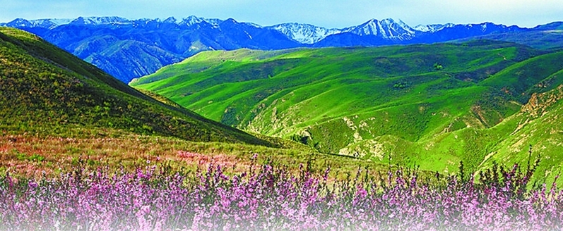 巴爾魯克山國家級自然保護(hù)區(qū)景色。