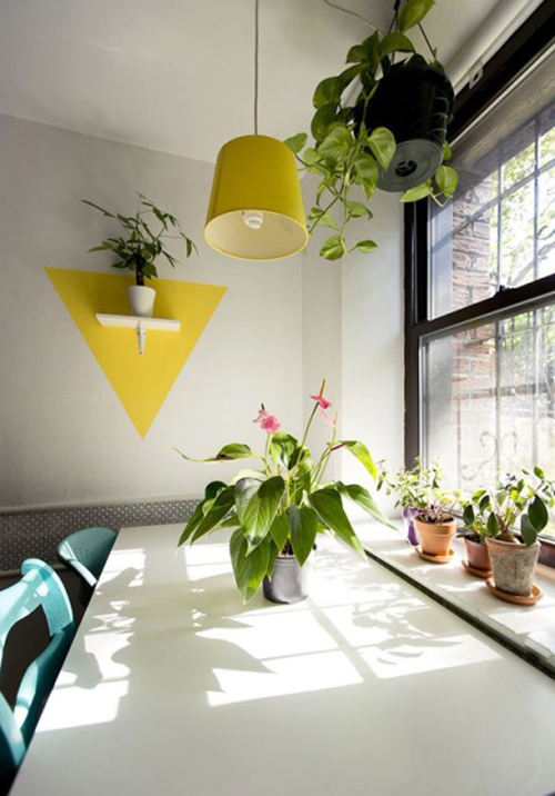 今年冬天的室內(nèi)裝飾 必須給房間加點(diǎn)觀(guān)葉綠色植物！