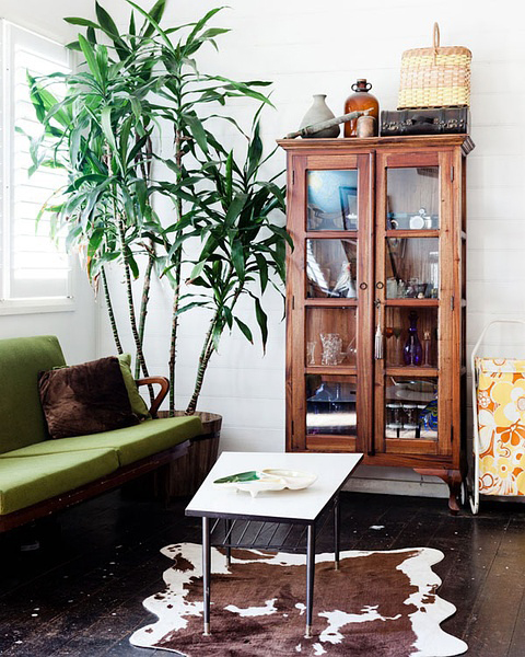 今年冬天的室內裝飾 必須給房間加點觀葉綠色植物！