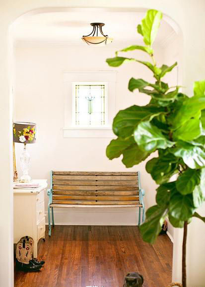 今年冬天的室內裝飾 必須給房間加點觀葉綠色植物！