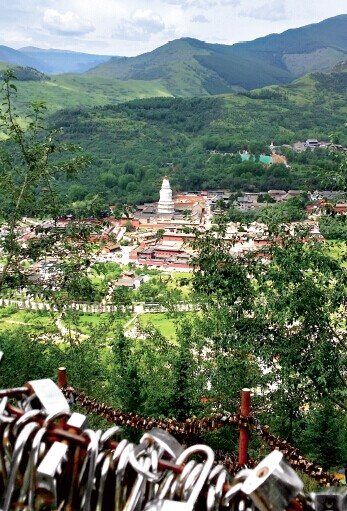 違建別墅 五臺山 違法占地 政令監(jiān)管