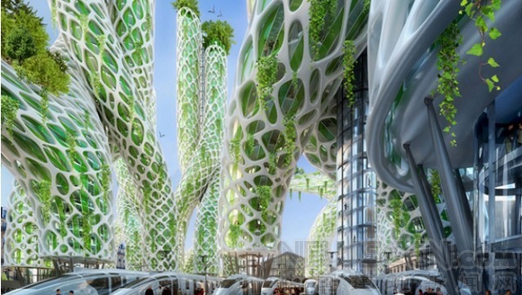 “紅樹林”大樓參考了獨特樹木的形狀和形式