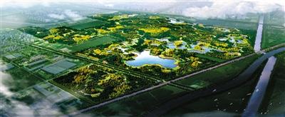 創(chuàng)意森林