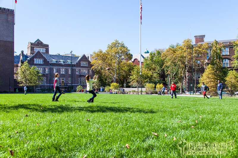 美國賓大鞋匠綠地