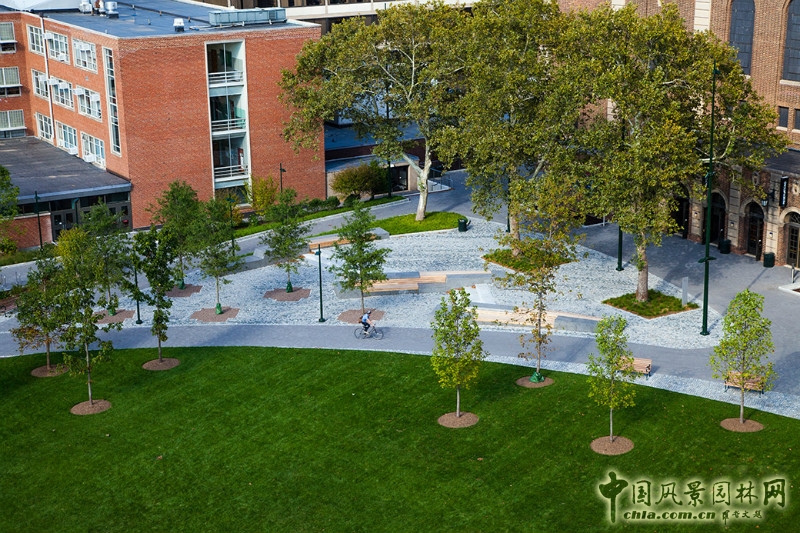 美國(guó)賓大鞋匠綠地