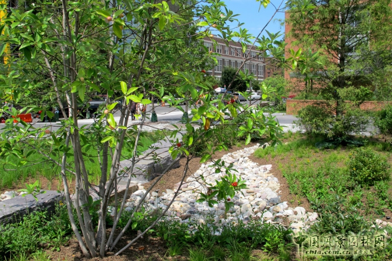 美國賓夕法尼亞大學鞋匠綠地