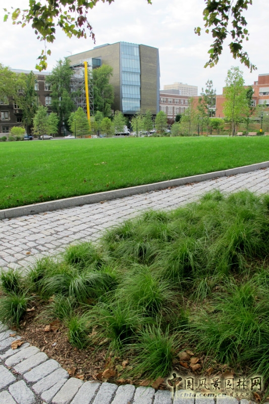 美國賓夕法尼亞大學鞋匠綠地