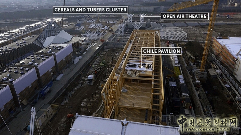 智利館的木框架