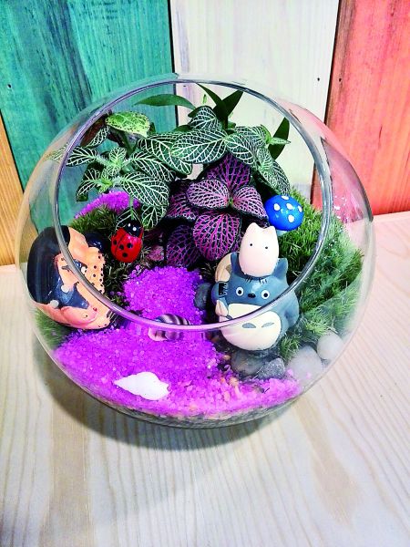 微景觀 多肉植物 園藝師 生態瓶