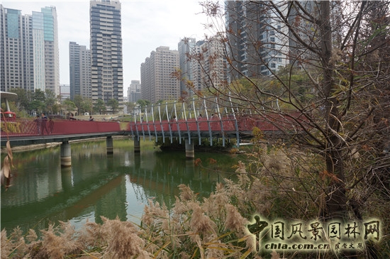 秋紅谷生態(tài)公園