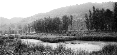 從承德看京津冀“生態一體化”之難