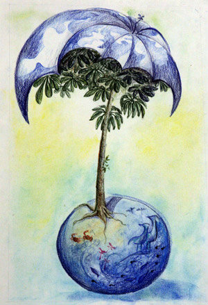 濕地 濕地日 濕地公約 濕地保護(hù)