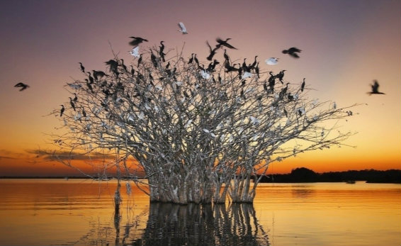 濕地 濕地日 濕地公約 濕地保護