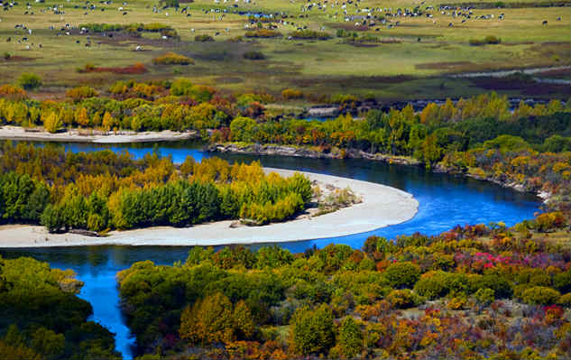 濕地 濕地日 濕地公約 濕地保護