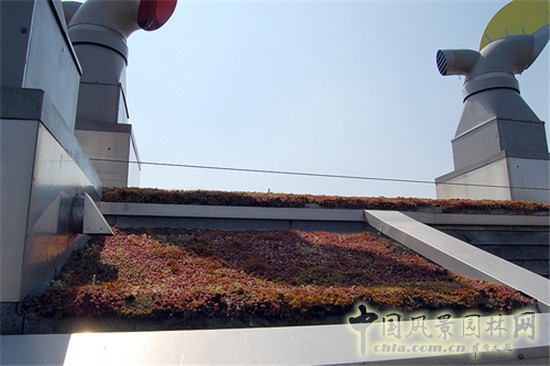 英國BedZED生態村