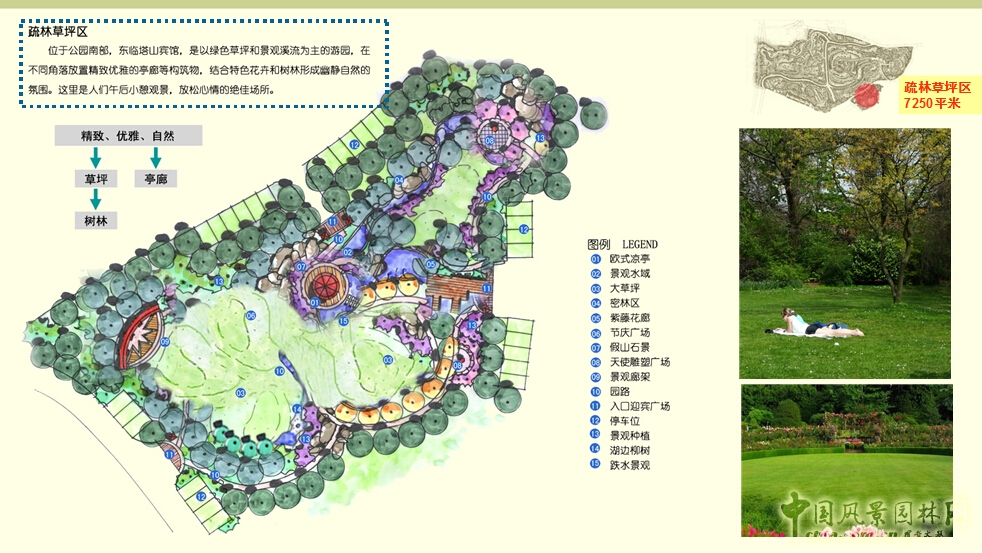 疏林草坪區(qū)