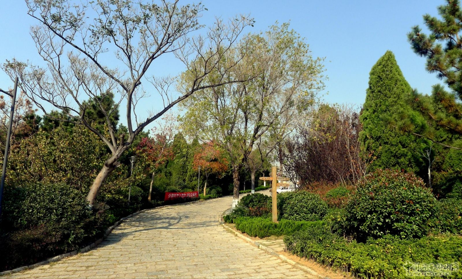 生態(tài)性園路與鋪裝的應(yīng)用——主園路(嵌草鋪裝)