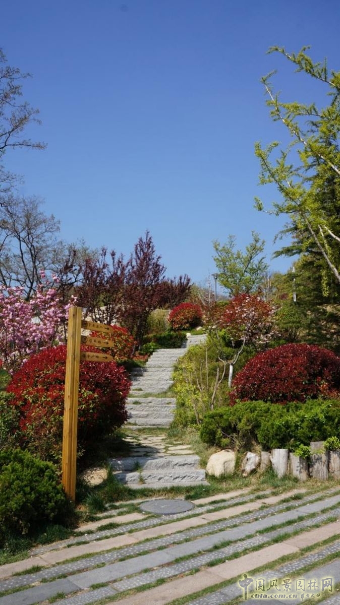 生態(tài)性園路與鋪裝的應(yīng)用——林間小路