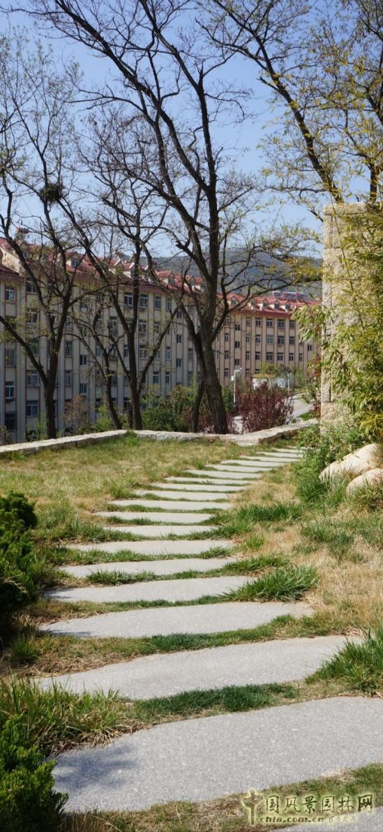 生態(tài)性園路與鋪裝的應(yīng)用——林間小路