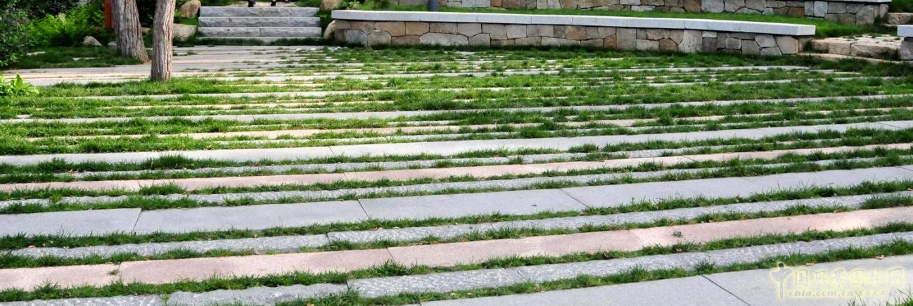 生態性園路與鋪裝的應用——嵌草鋪裝