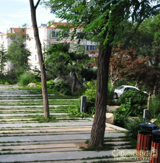 改造時對現有喬木的保護