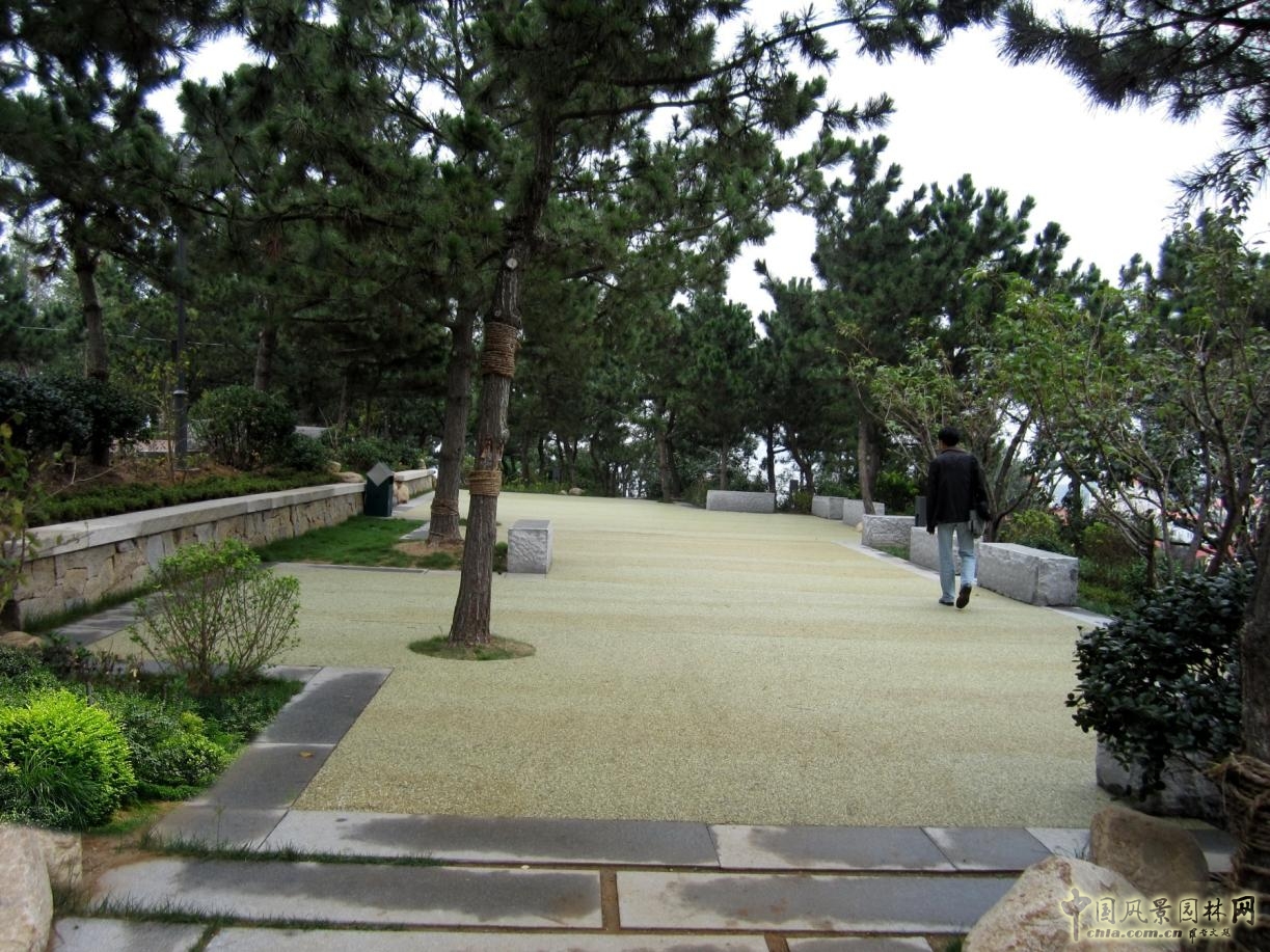 林蔭活動場實景