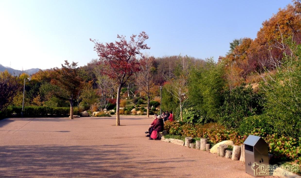 林蔭活動場實景