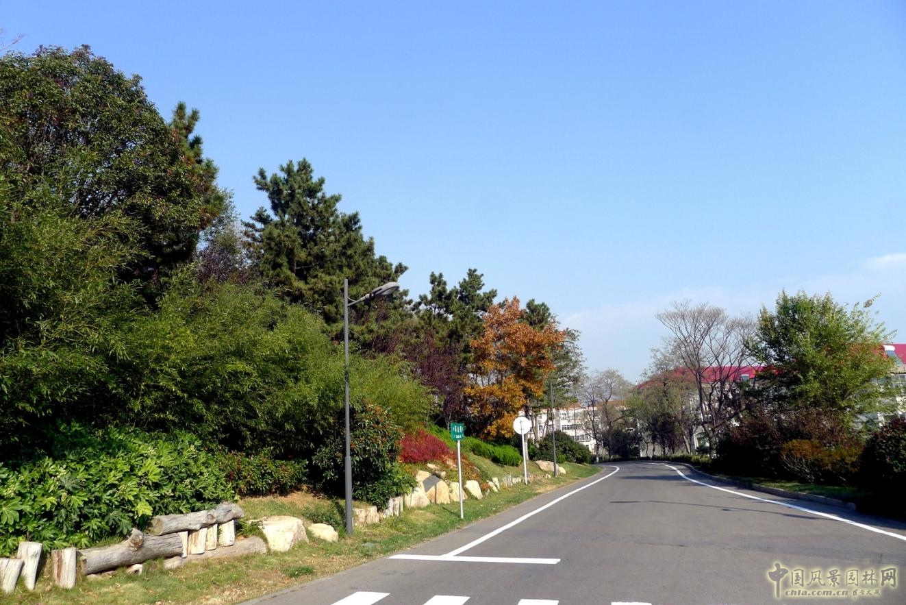 外圍環路與兩側綠化實景