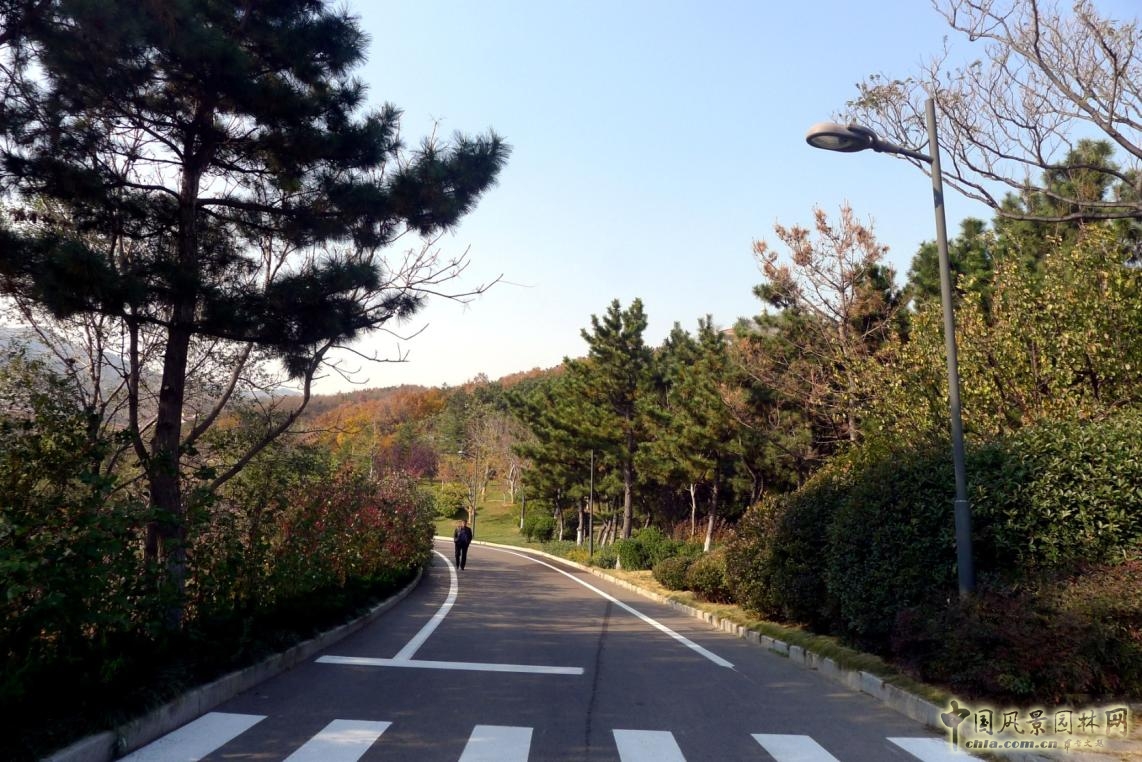 外圍環路與兩側綠化實景