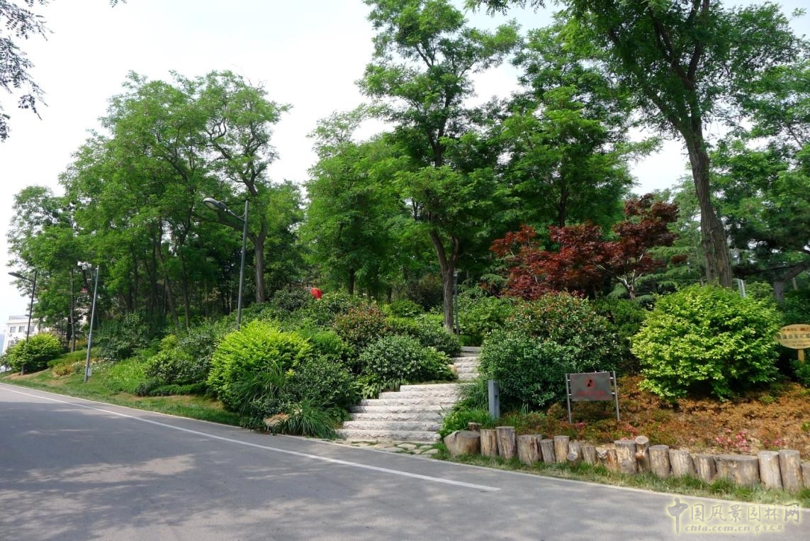 外圍環路與兩側綠化實景