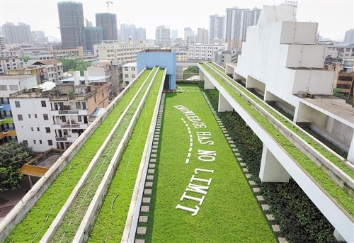 華強路小學(xué)教學(xué)樓頂上的空中綠地。